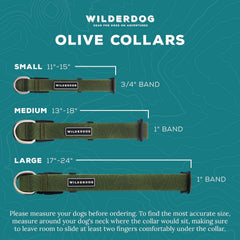 Wilderdog olive collar closeup buckle emphasizes sturdy hardware for rugged trails.