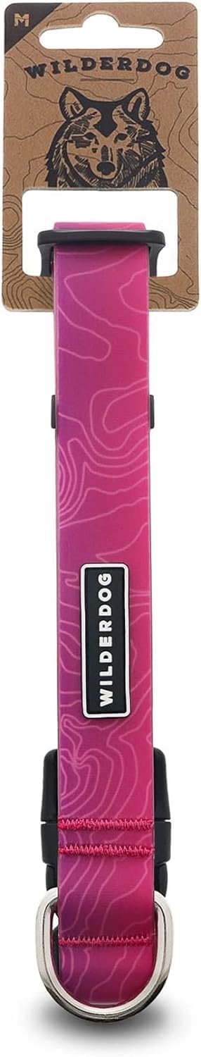Wilderdog waterproof collar in plum on a dog during a trail adventure
