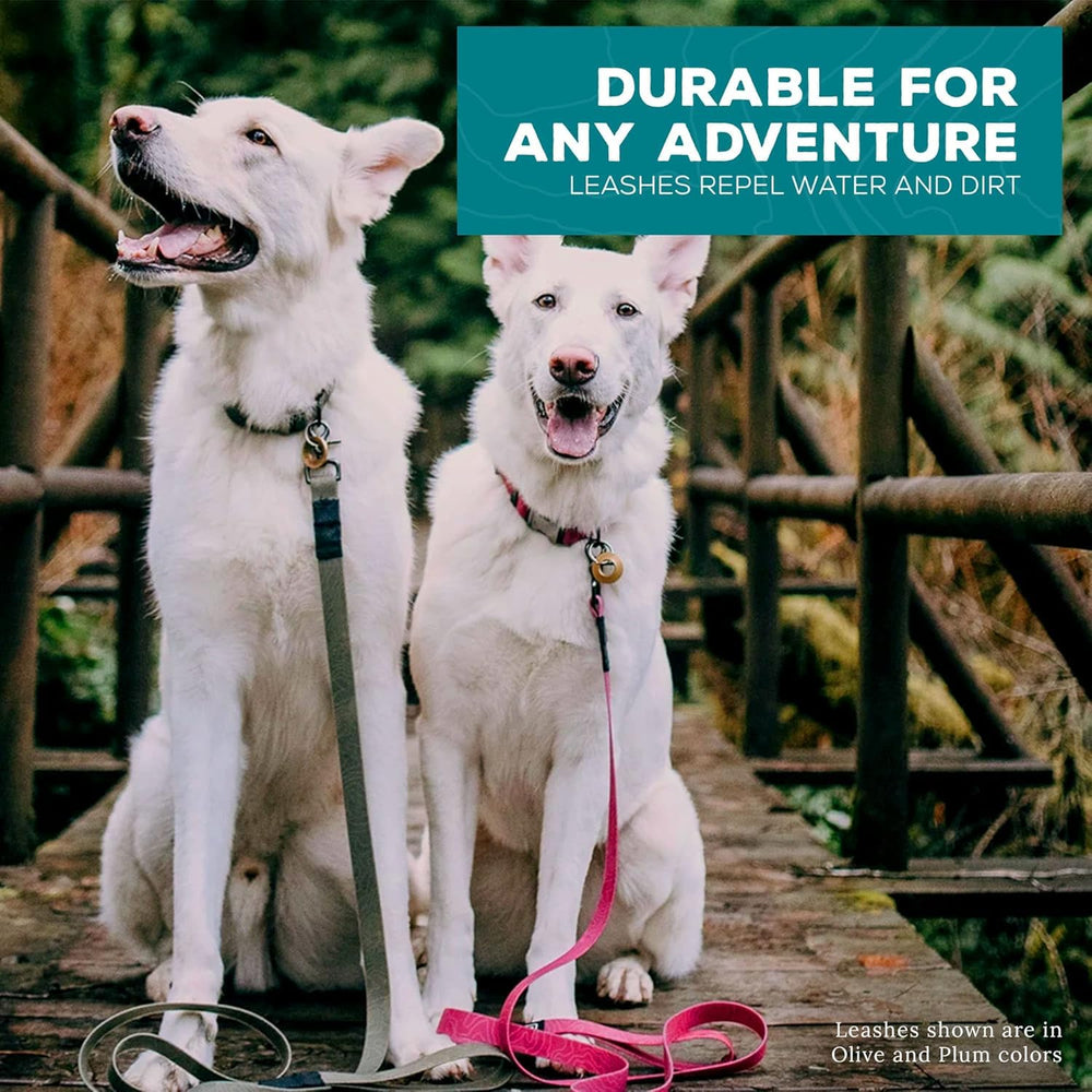 Wilderdog leash for wet weather walks and damp trails.
