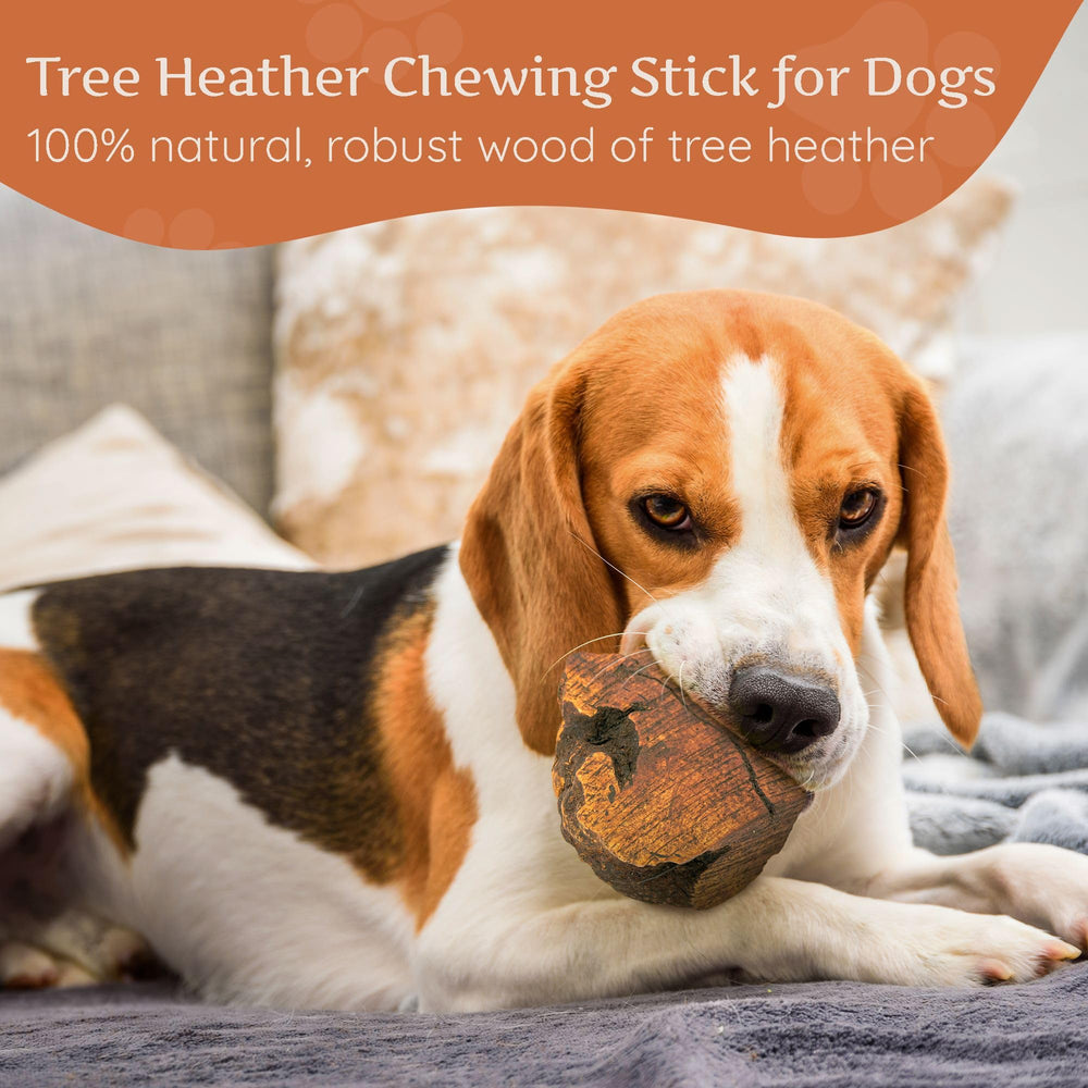Wildfang Briar Wood Chewing Root medium supports dental-friendly play.