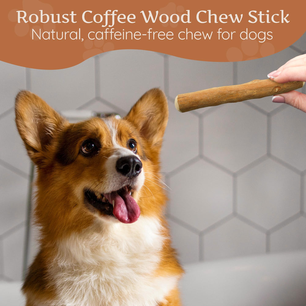 Wildfang Coffee Wood Dog Chew in action during a chew session.