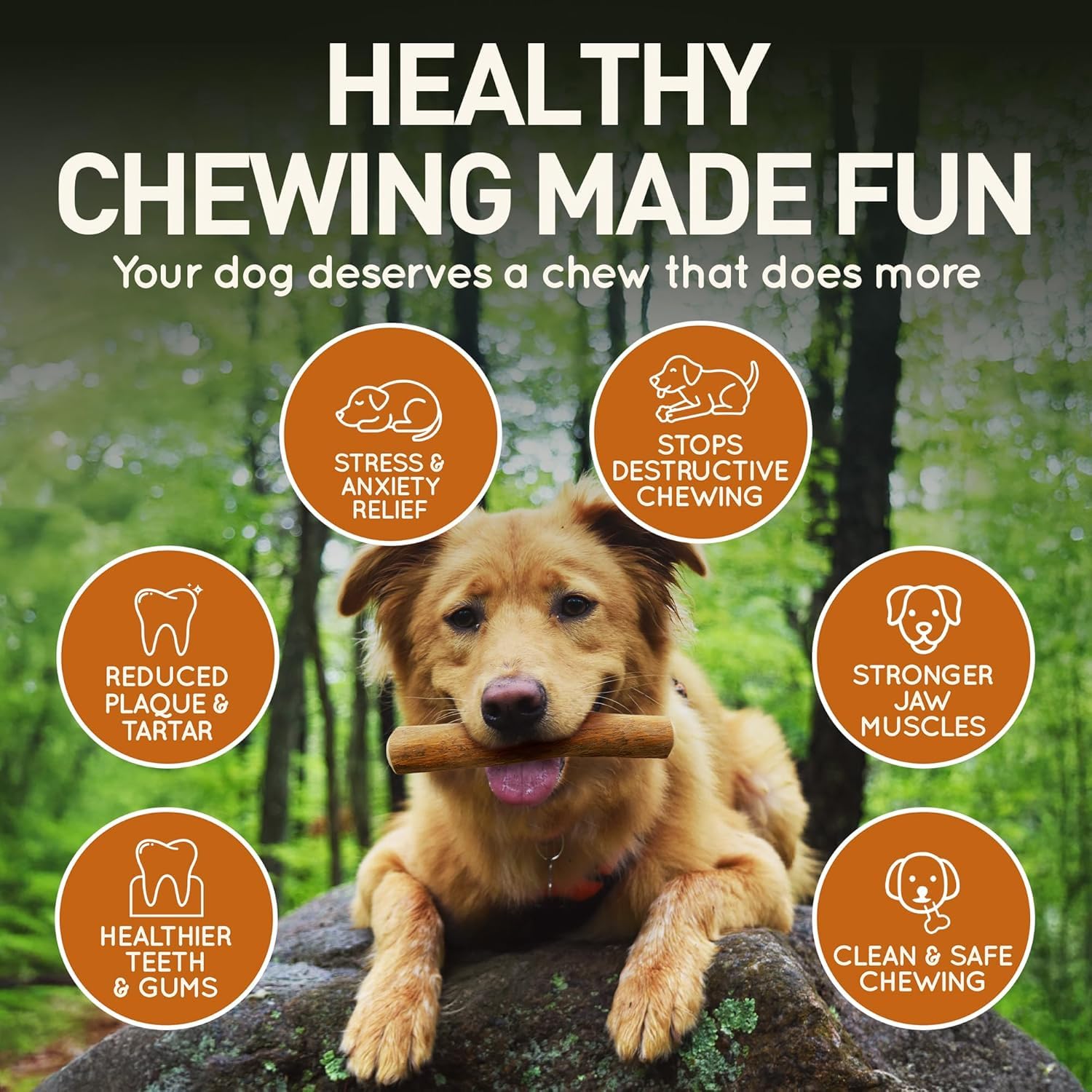 Wildfang Coffee Wood Dog Chew demonstrates calming, satisfying chewing session.