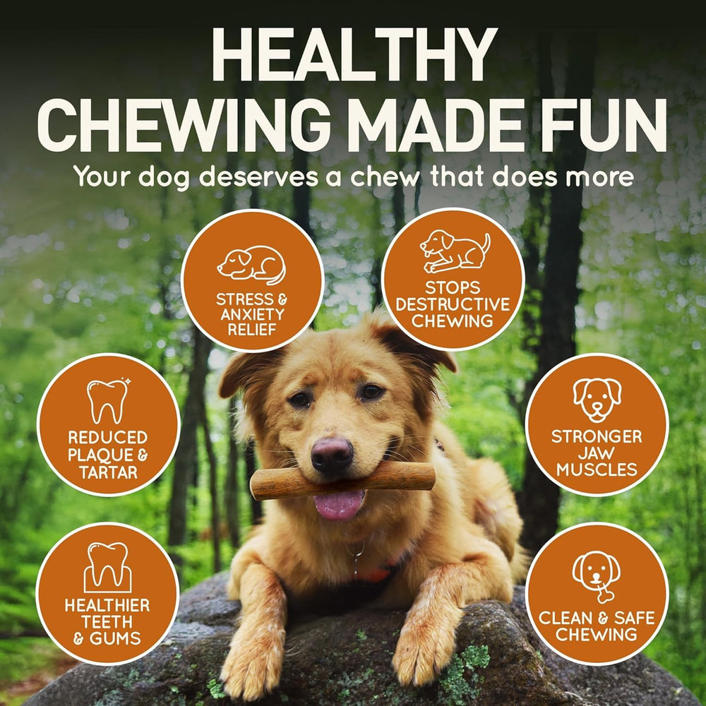 Wildfang Coffee Wood Dog Chew demonstrates calming, satisfying chewing session.