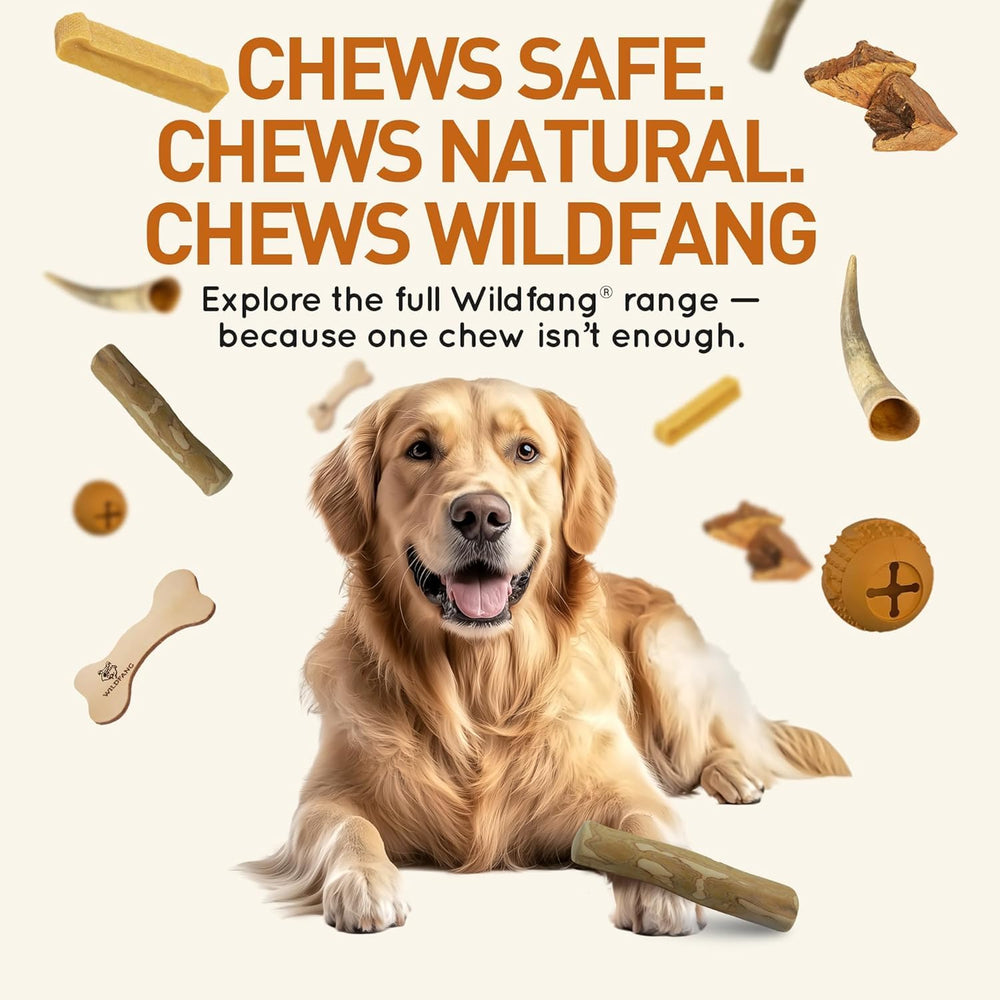 Wildfang Coffee Wood Sticks for aggressive chewers shown in sturdy form.