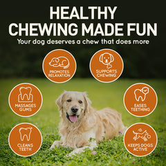 Wildfang leather dog toy large bone with olive oil finish highlighting natural care