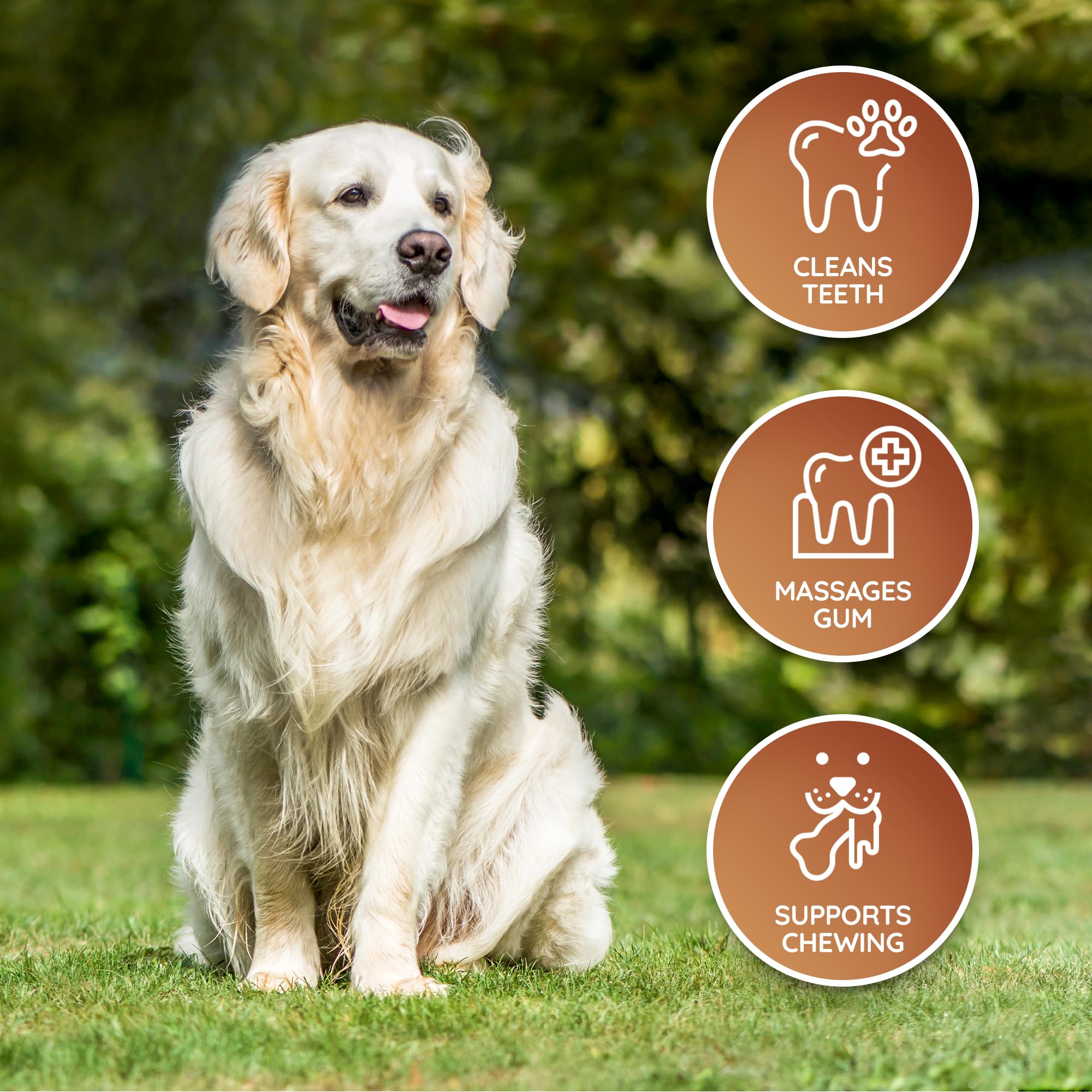Wildfang leather dog toy large bone suitable for senior dogs