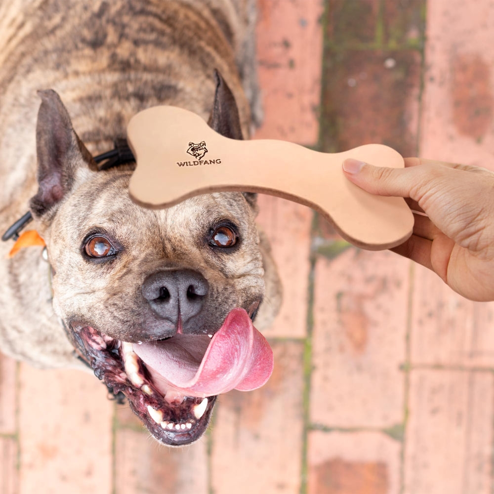 Wildfang leather dog toy large bone supervised play recommended