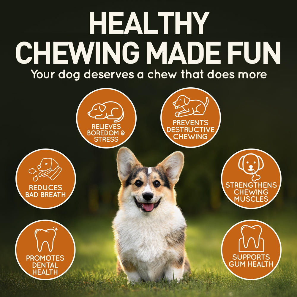 Wildfang Olive Wood Chew Stick offers natural materials and pleasant aroma.