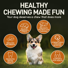 Wildfang Olive Wood Chew Stick offers natural materials and pleasant aroma.