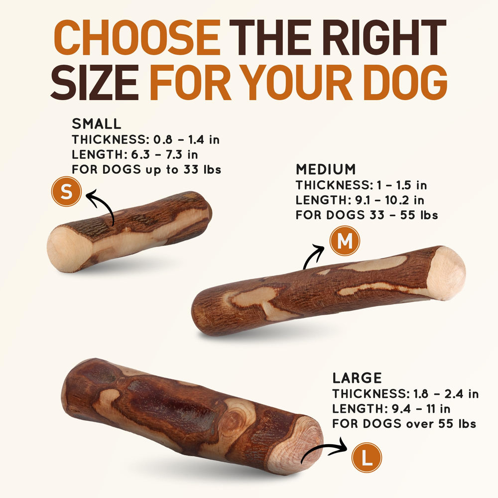 Close-up of durable olive wood chew stick designed for heavy chewers.