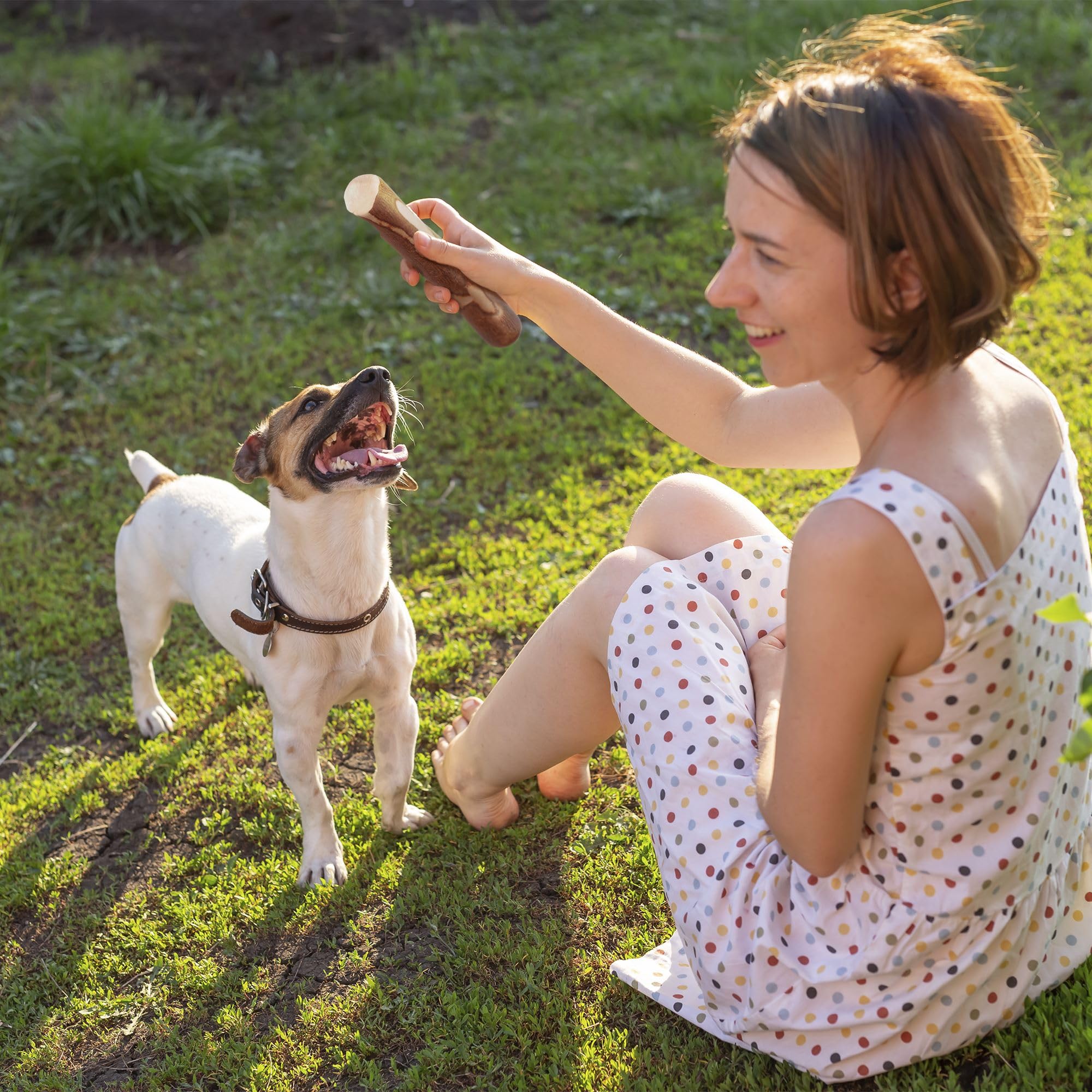 Right size advice helps match chewing habit and energy.