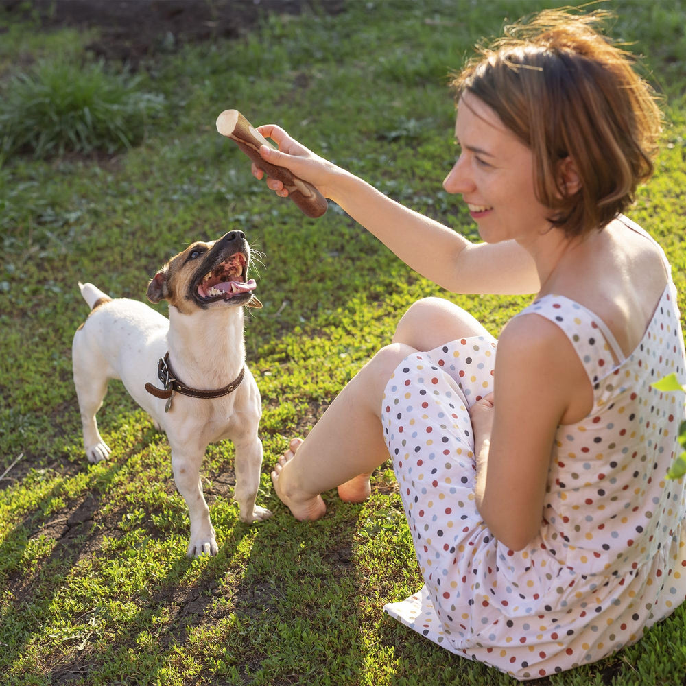 Right size advice helps match chewing habit and energy.