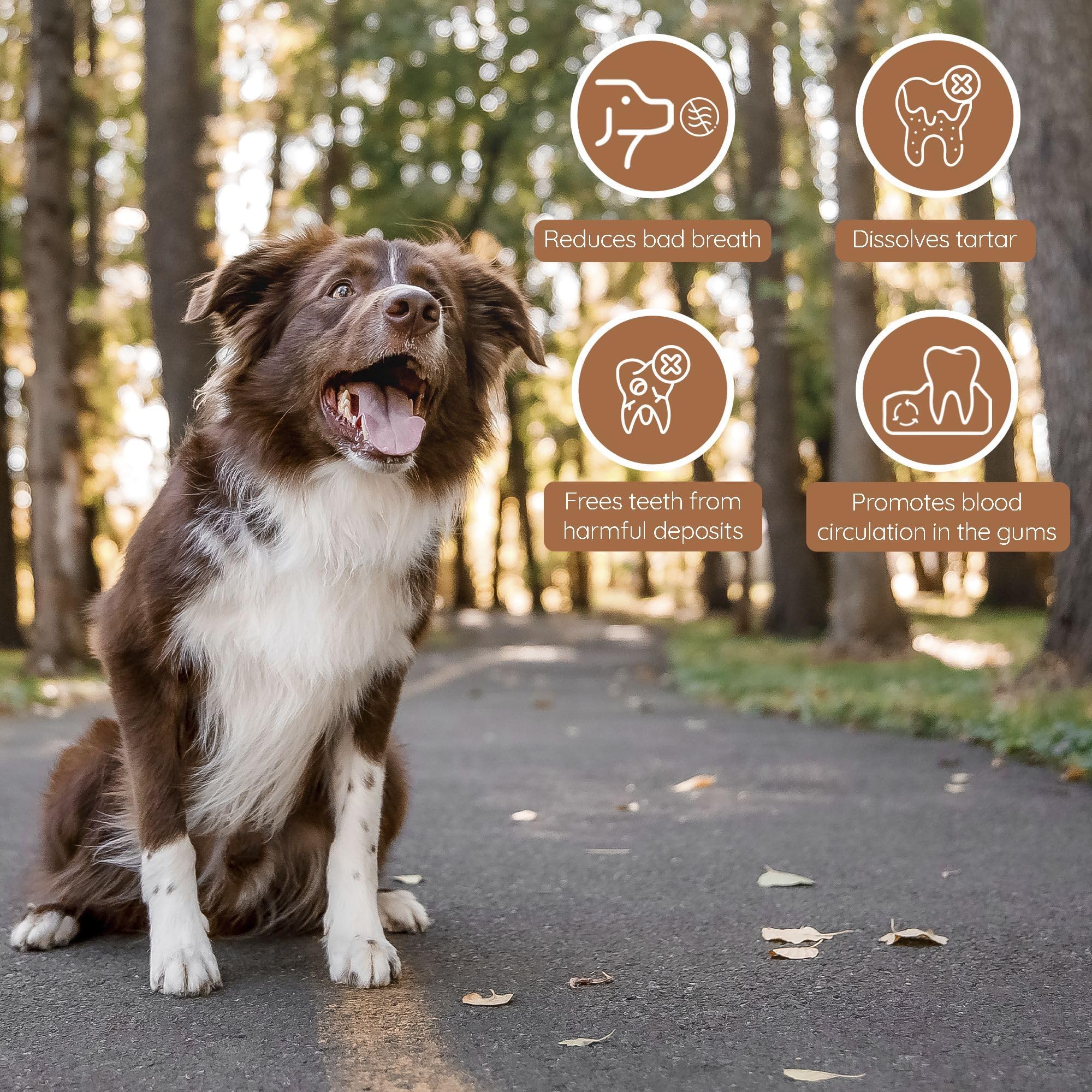 Ideal for training or independent play to reduce destructive chewing.