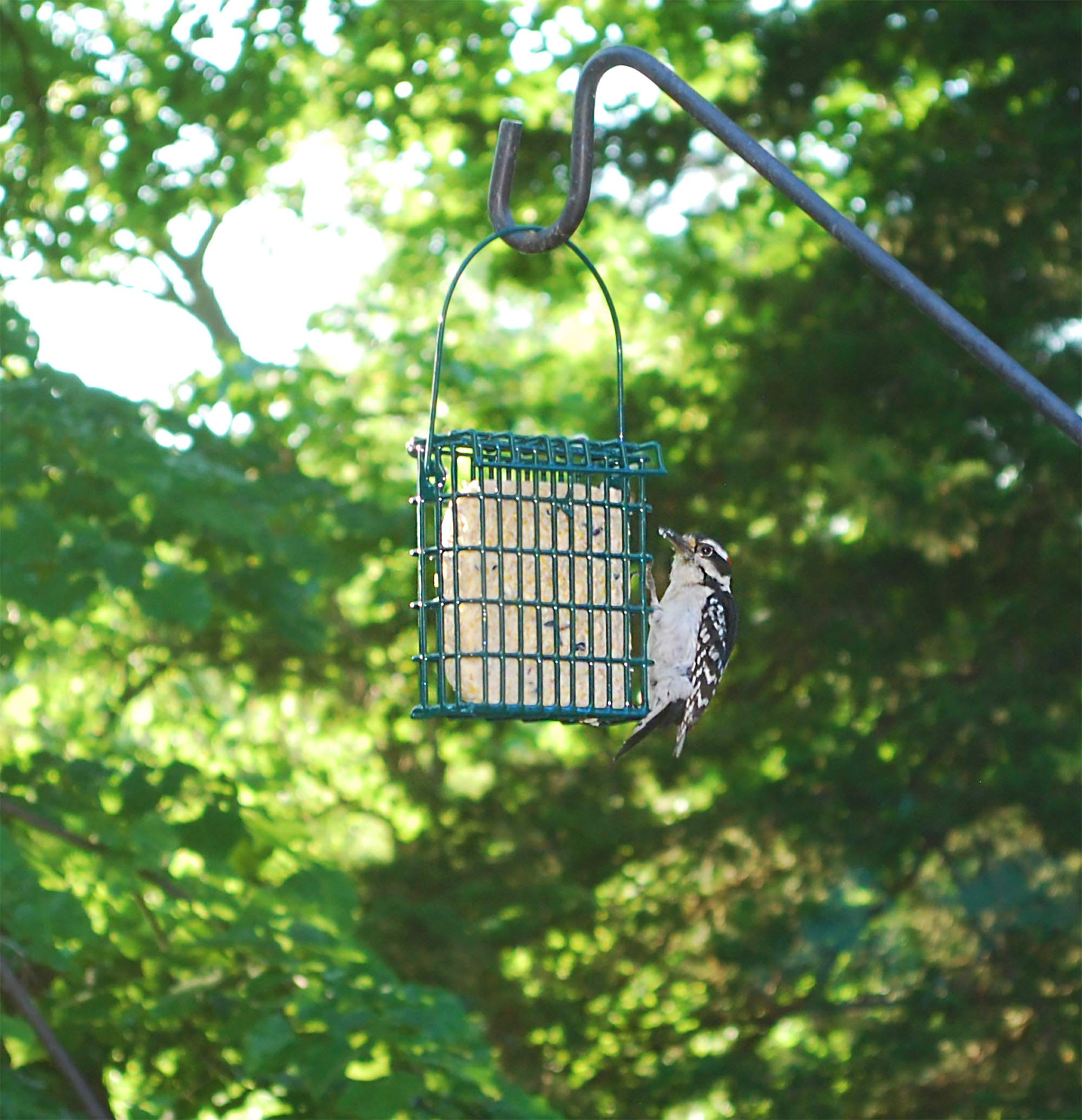 Easy-open recyclable packaging for Wildlife Sciences Suet Plus Variety Suet Cake