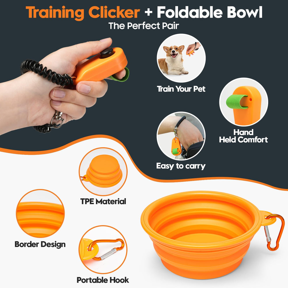 WILDOMS collapsible water bowl to keep your dog hydrated during adventures.