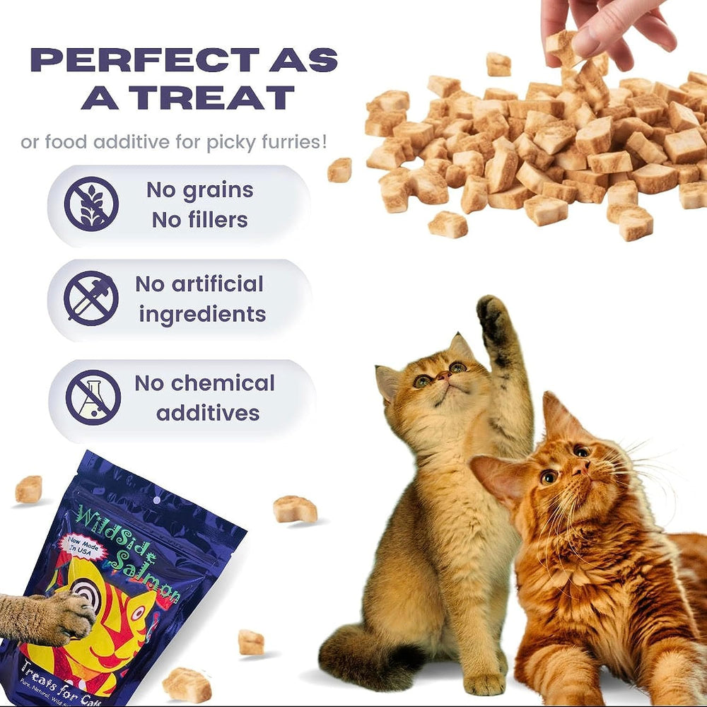 WildSideSalmon single-source protein cat treat for picky eaters
