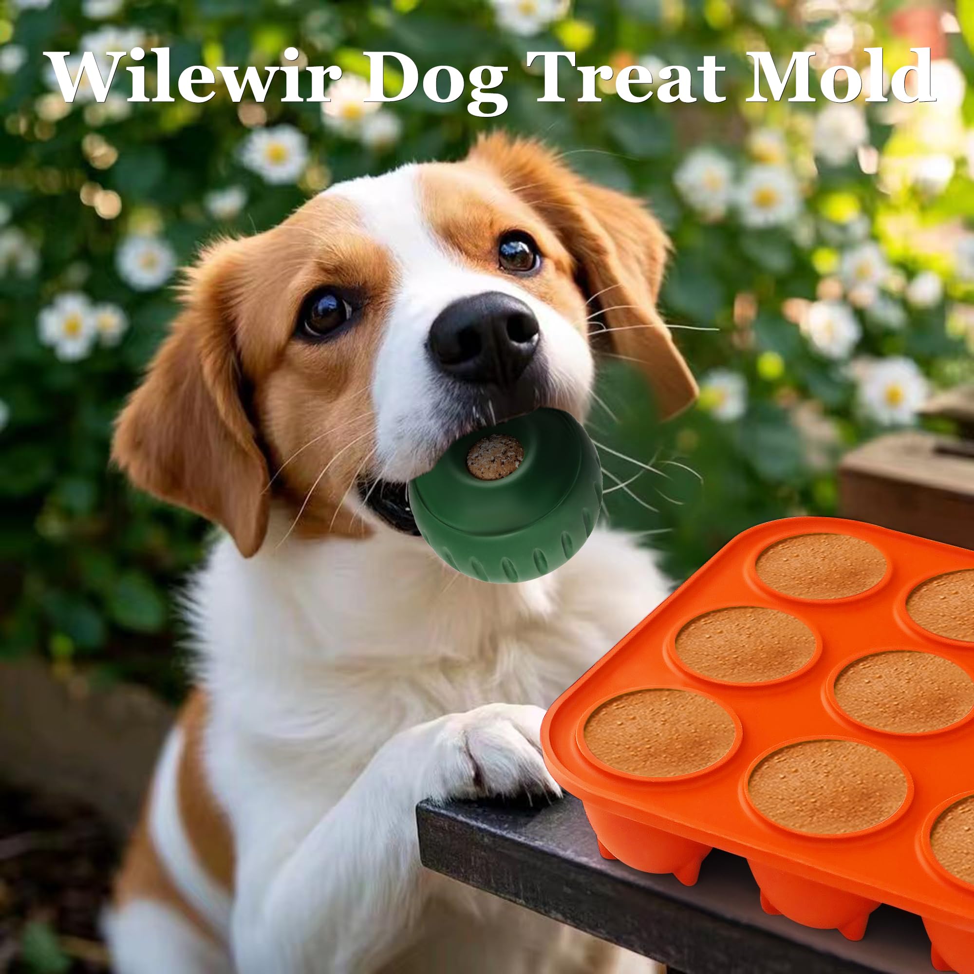 Wilewir dog enjoys a frozen pupsicle treat