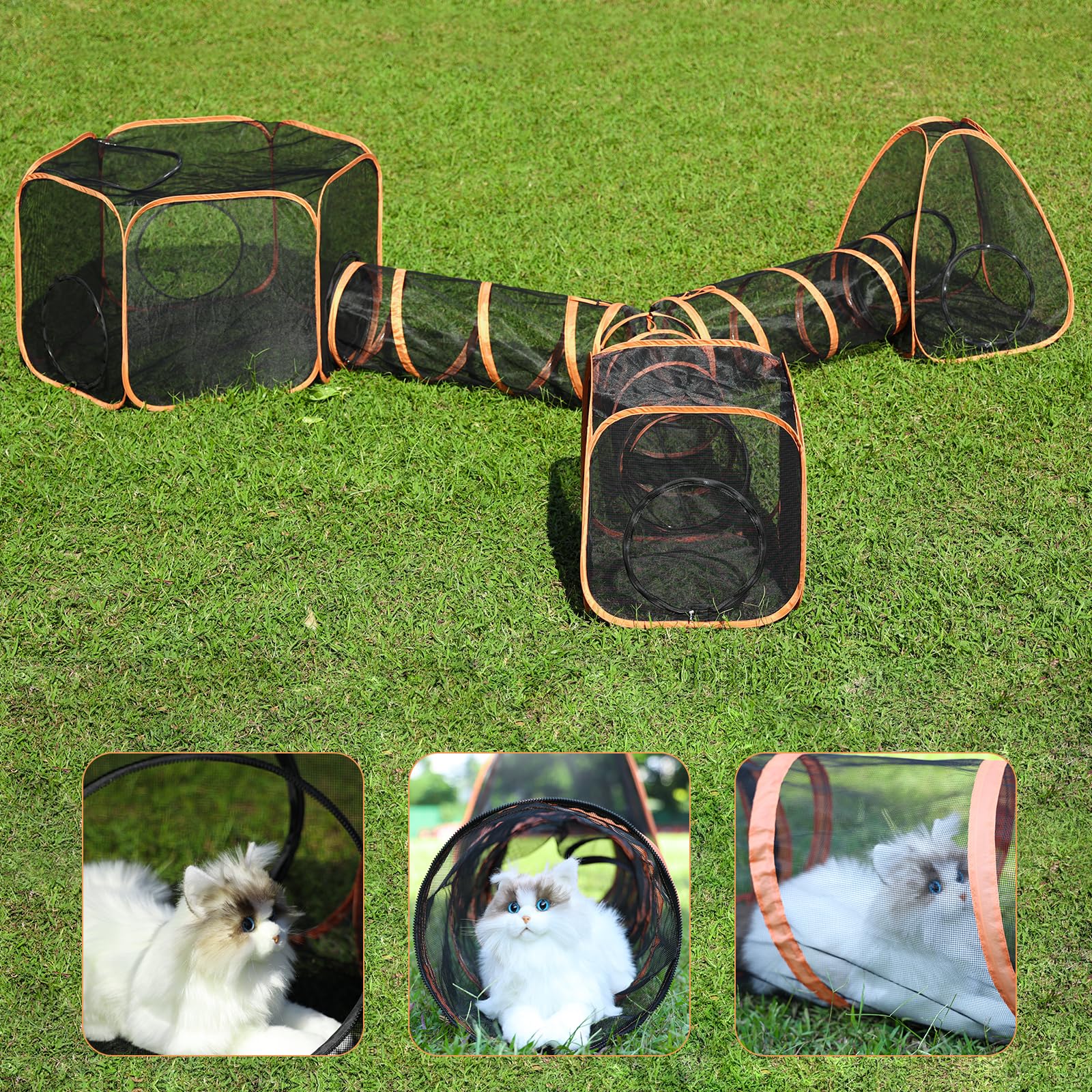 Wilhker 5-in-1 square cat tent for versatile indoor-outdoor adventures.