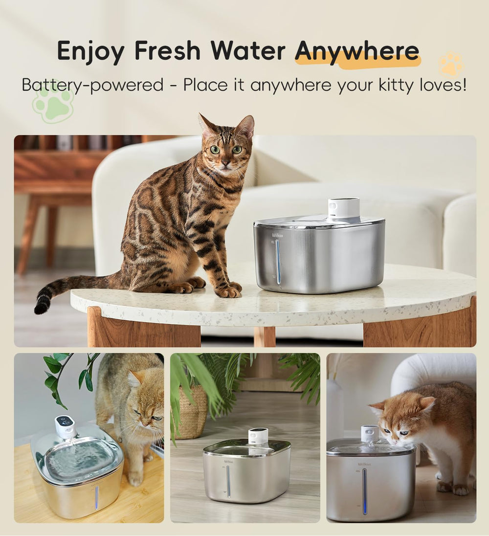 WILKIEE fountain 4.1L capacity for long-lasting hydration.
