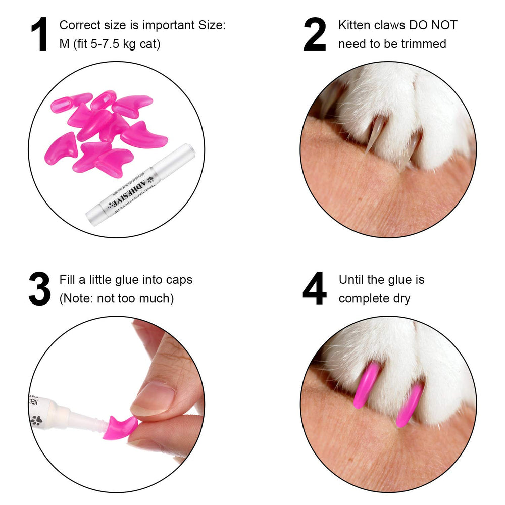 WillBond soft vinyl caps illustrating comfortable wear for small cats