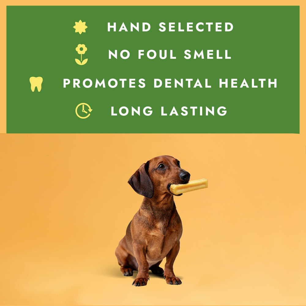 William Hunter yak cheese dog chew shown lasting through chewing sessions, ideal for aggressive chewers.