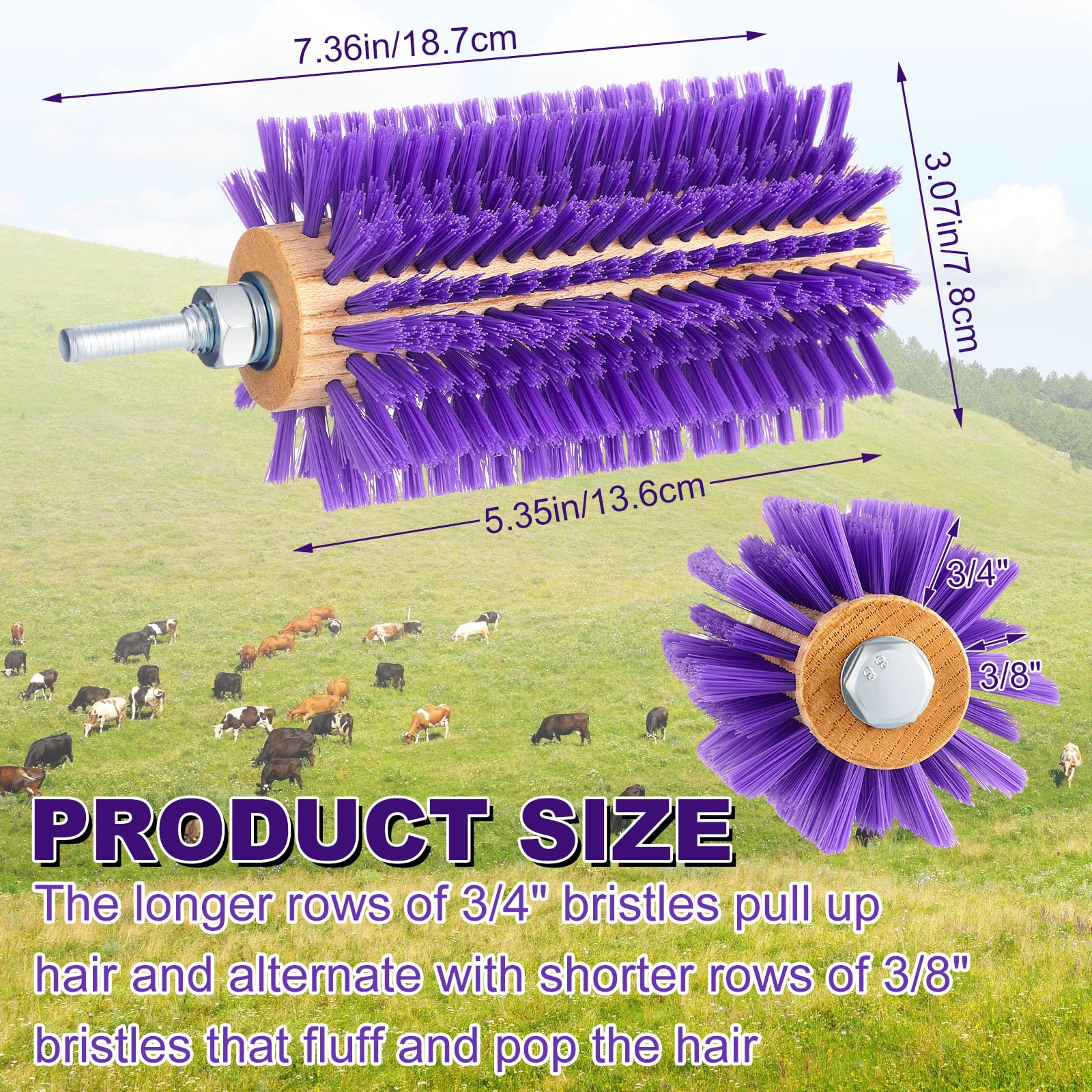 Willinglong alternating-bristle livestock brush targets undercoat and topcoat.