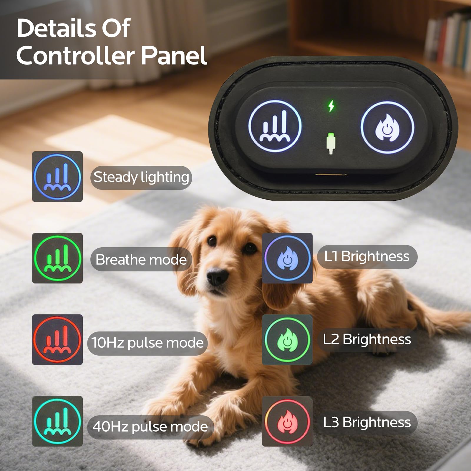 Wind in Hand therapy on the go for dogs in car or at home