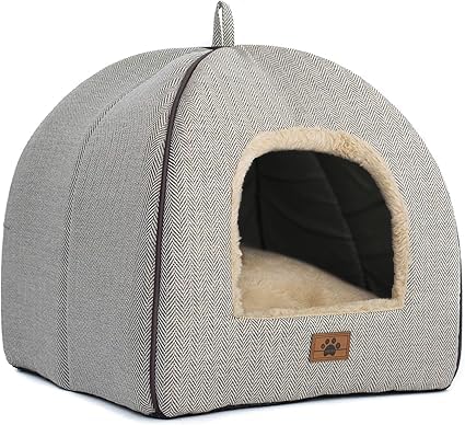 WindRacing cat bed for indoor cats, showing roomy interior for lounging.