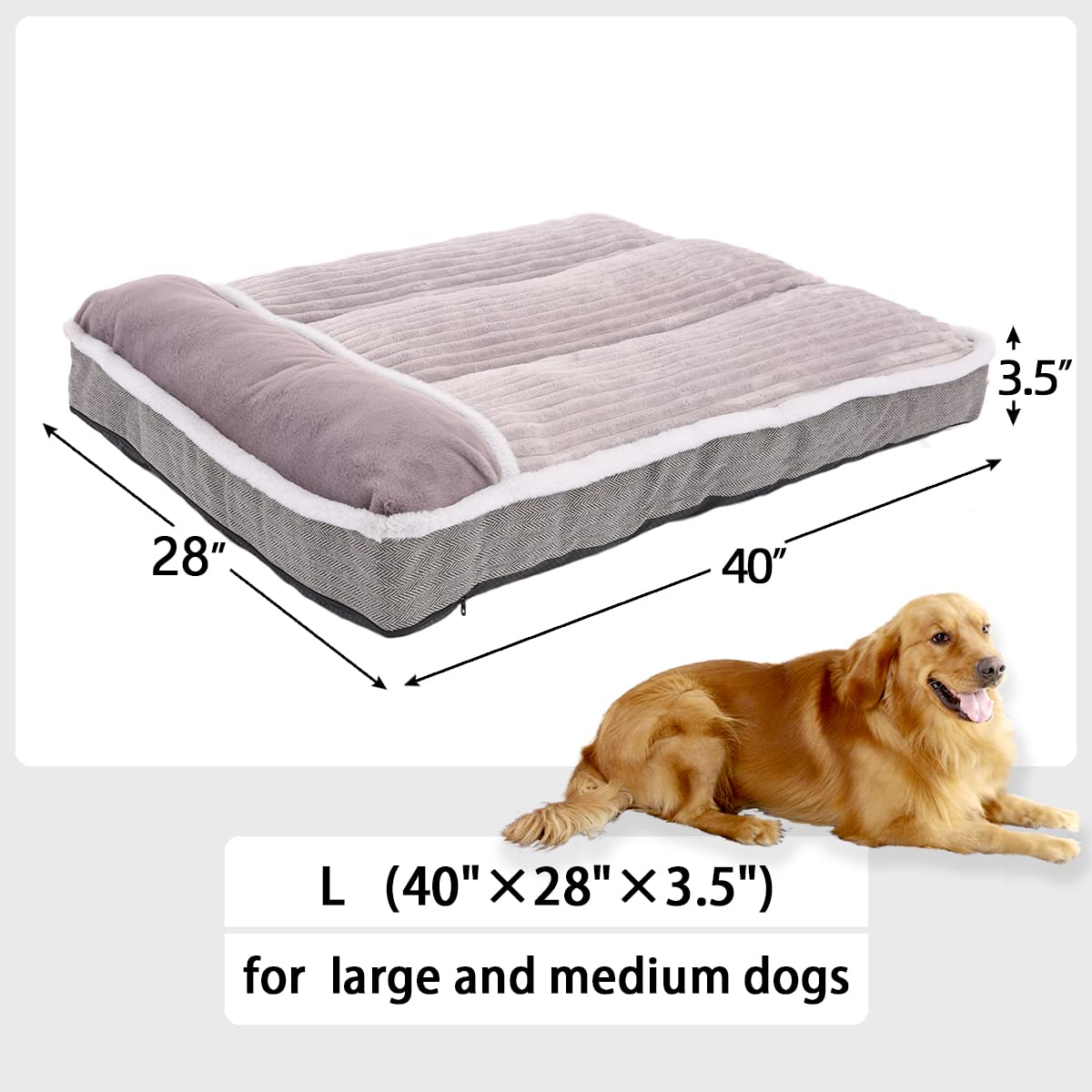 WINDRACING dog bed with granular foam bottom supporting joints during sleep.