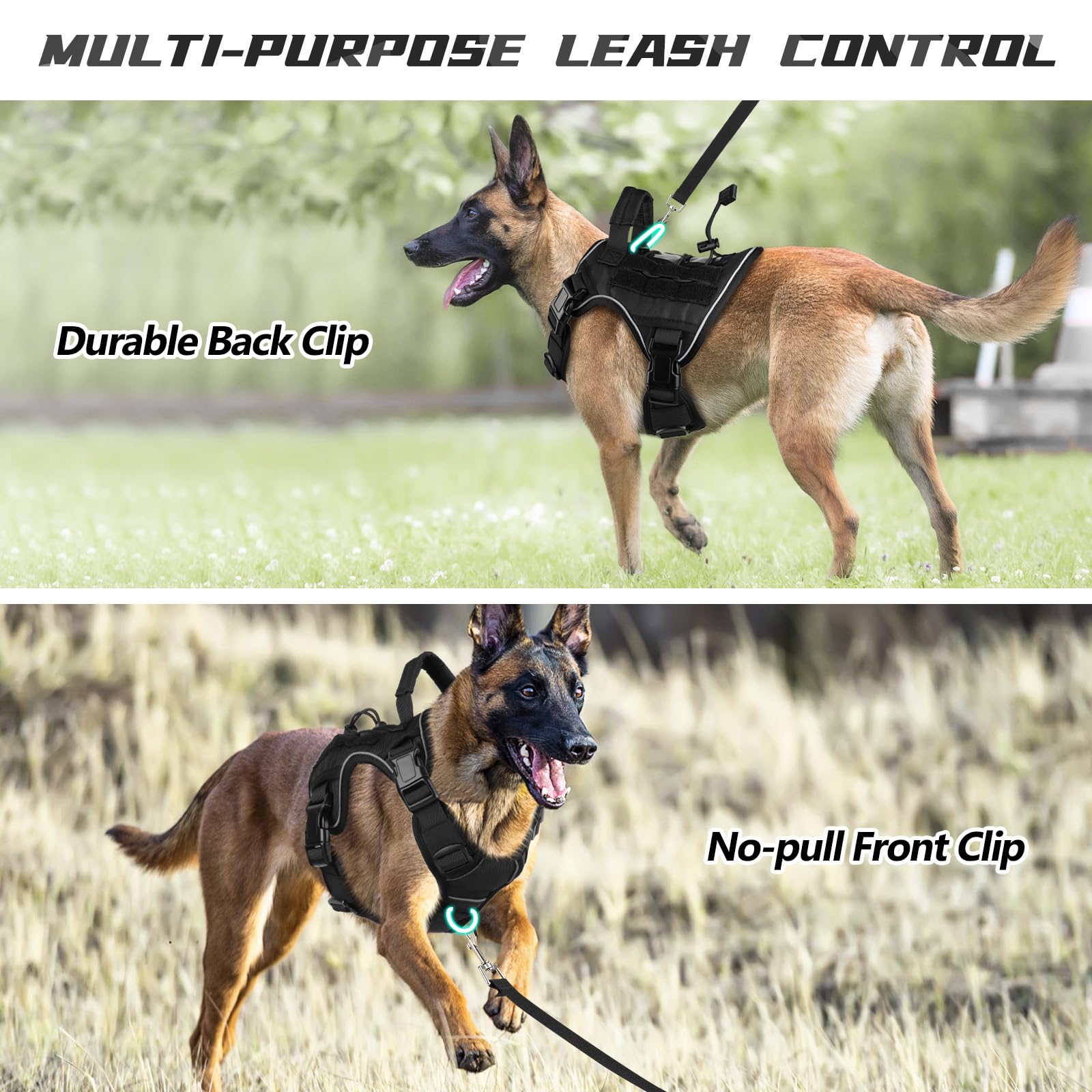 WINGOIN reflective strip harness aiding evening visibility during walks.