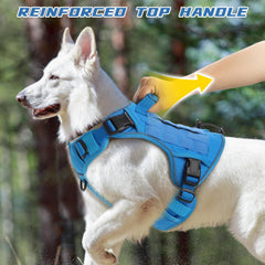 WINGOIN blue harness buckle closeup, featuring quick-release buckles for fast fitting.