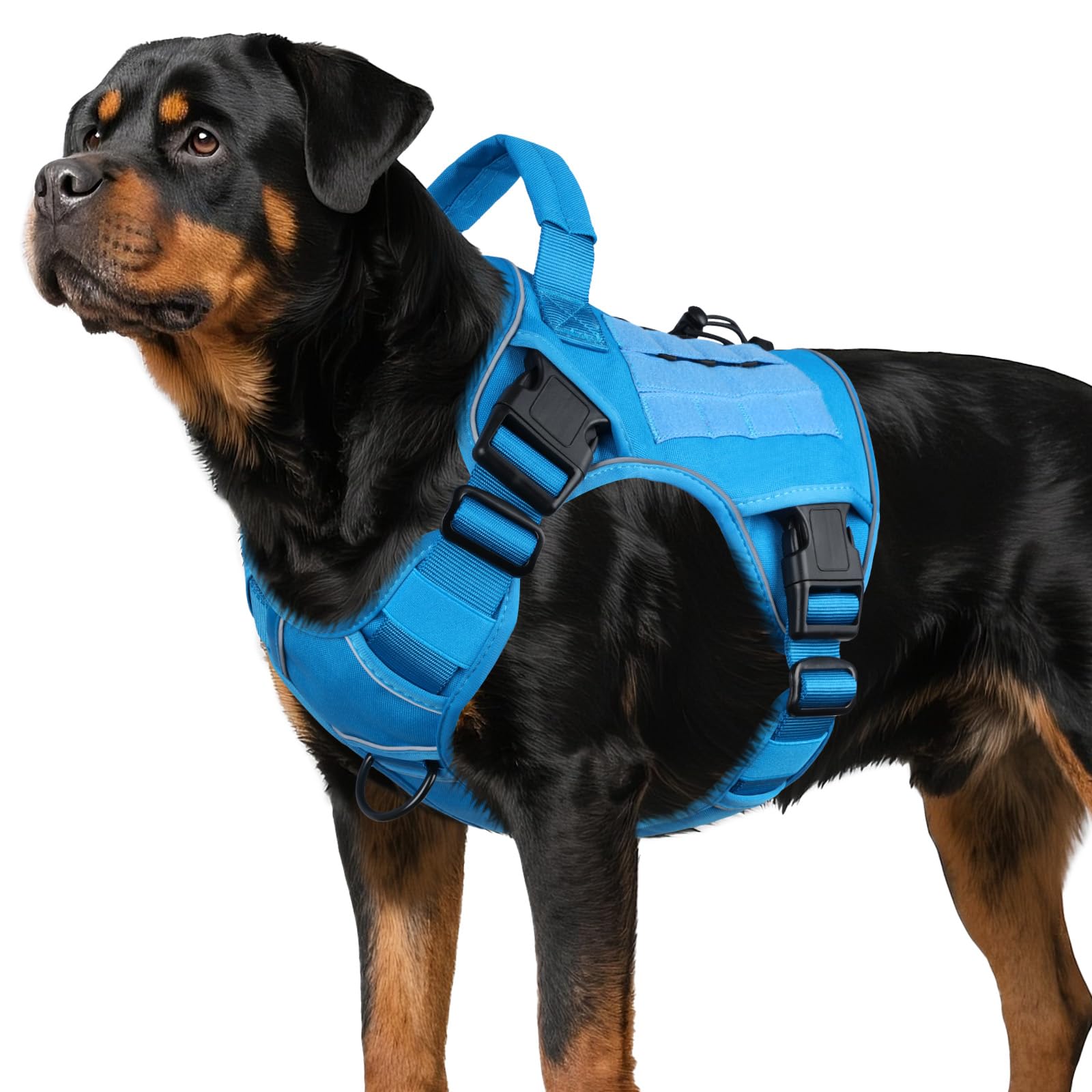 WINGOIN blue tactical dog harness, front view, built for secure hiking and daily walks.