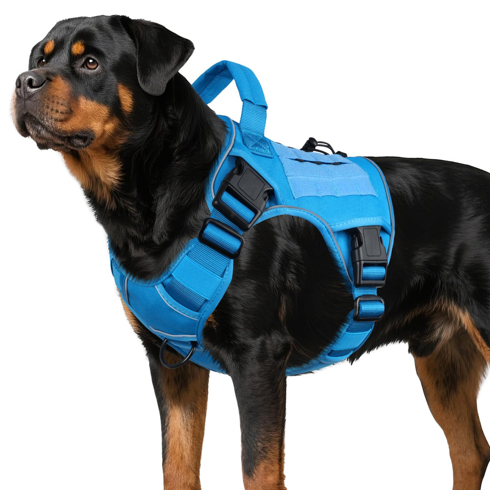 WINGOIN blue tactical dog harness, front view, built for secure hiking and daily walks.