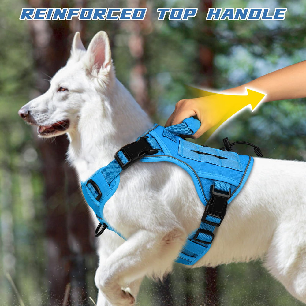 WINGOIN harness shows sturdy handle and dual D-rings for better control