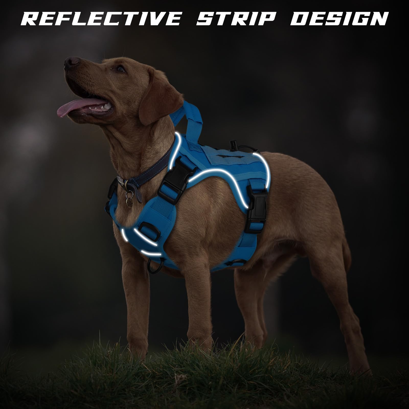 WINGOIN blue nylon outer shell highlights military-grade build