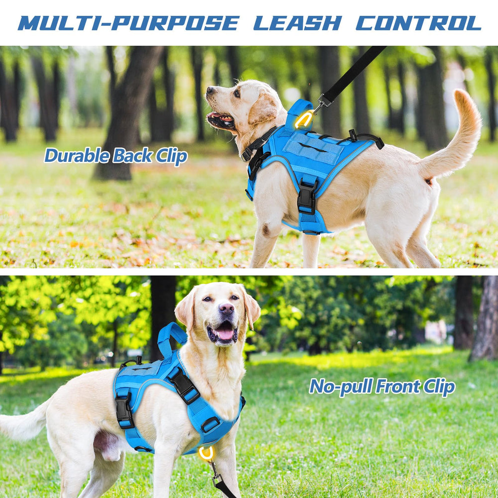 WINGOIN no-pull buckle design enables quick side-entry wearing