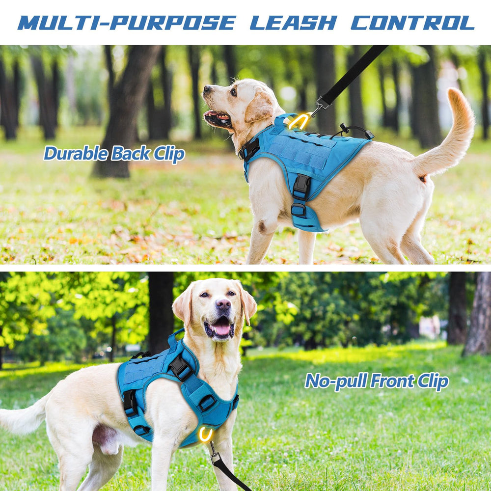 WINGOIN blue harness with reflective strip in low light for visibility.