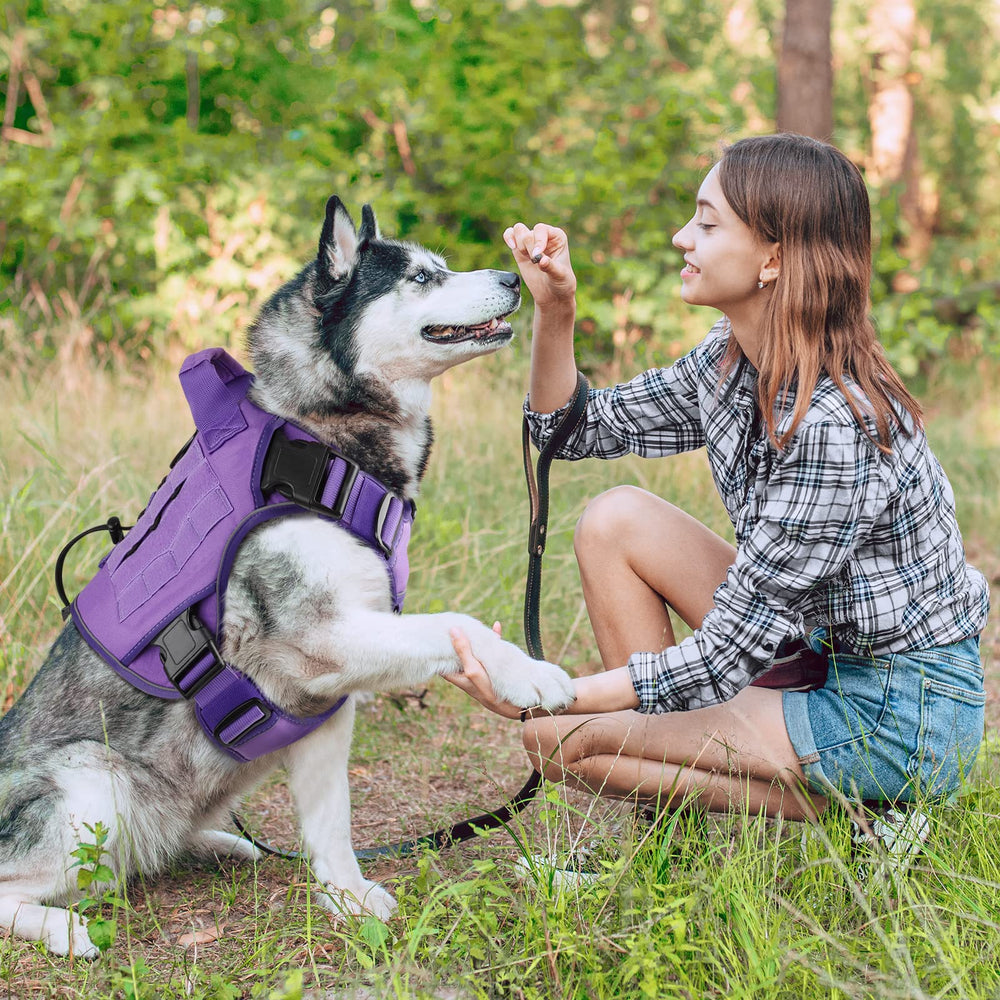 Wingoin breathable mesh inner layer keeps small dogs comfortable.