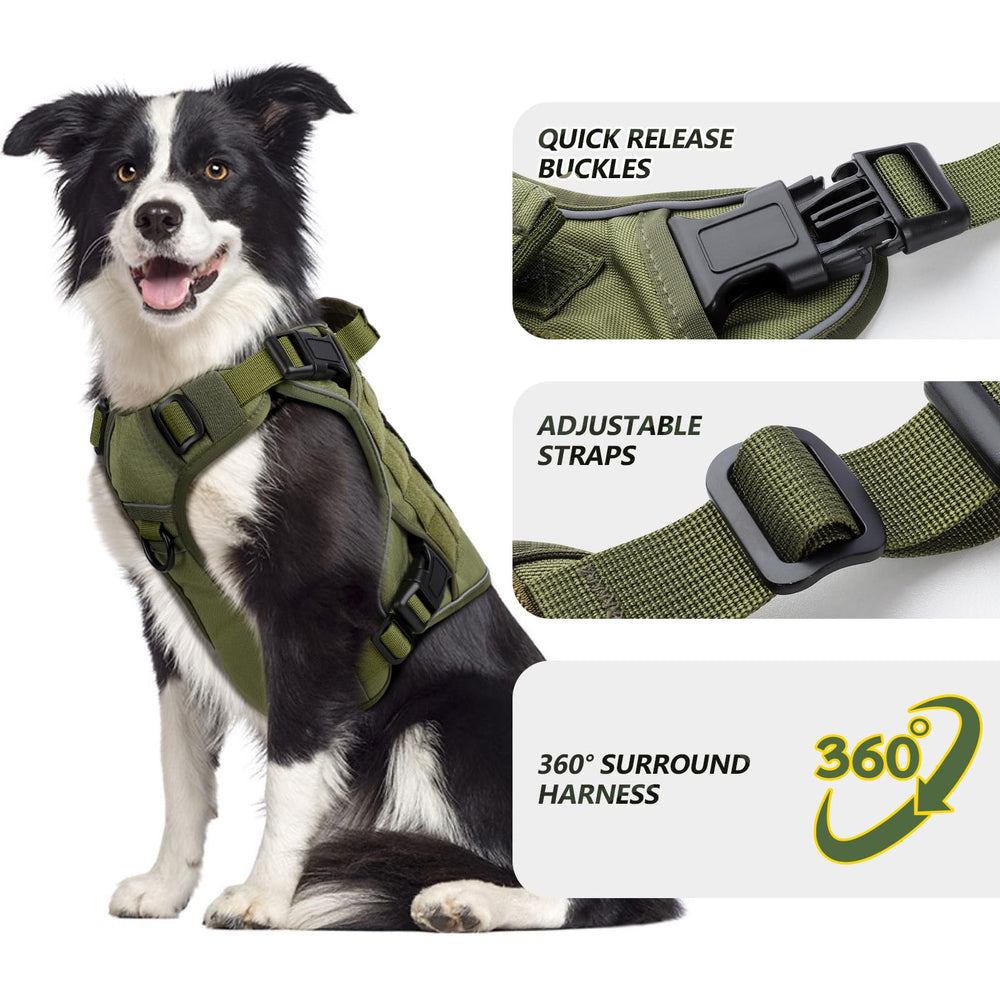 WINGOIN dog harness side-entry strap enables quick on-off for busy mornings