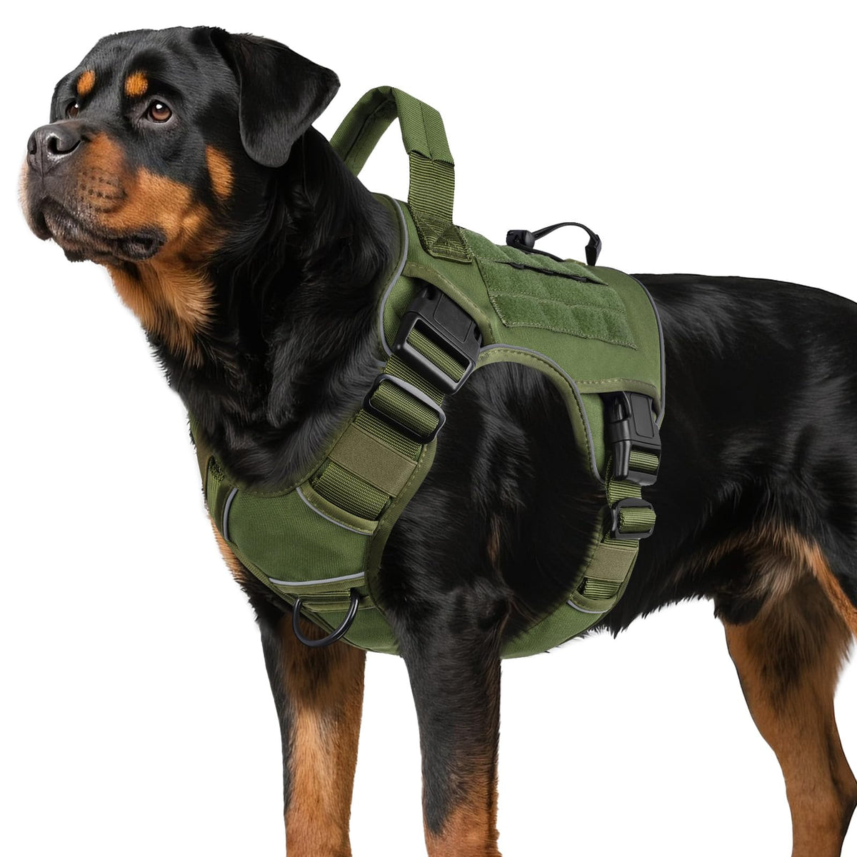 WINGOIN Green Tactical Dog Harness front view showing durable construction for outdoor use