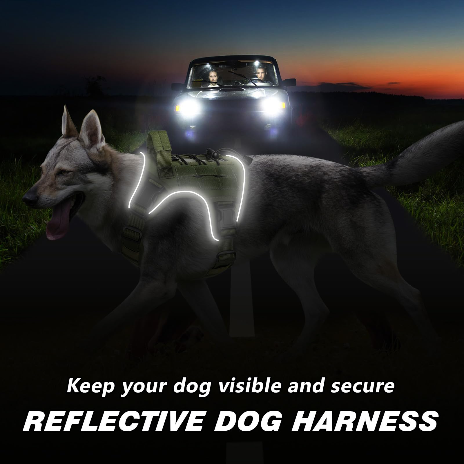 WINGOIN small-dog harness interior mesh keeps dog comfortable during daily walks.