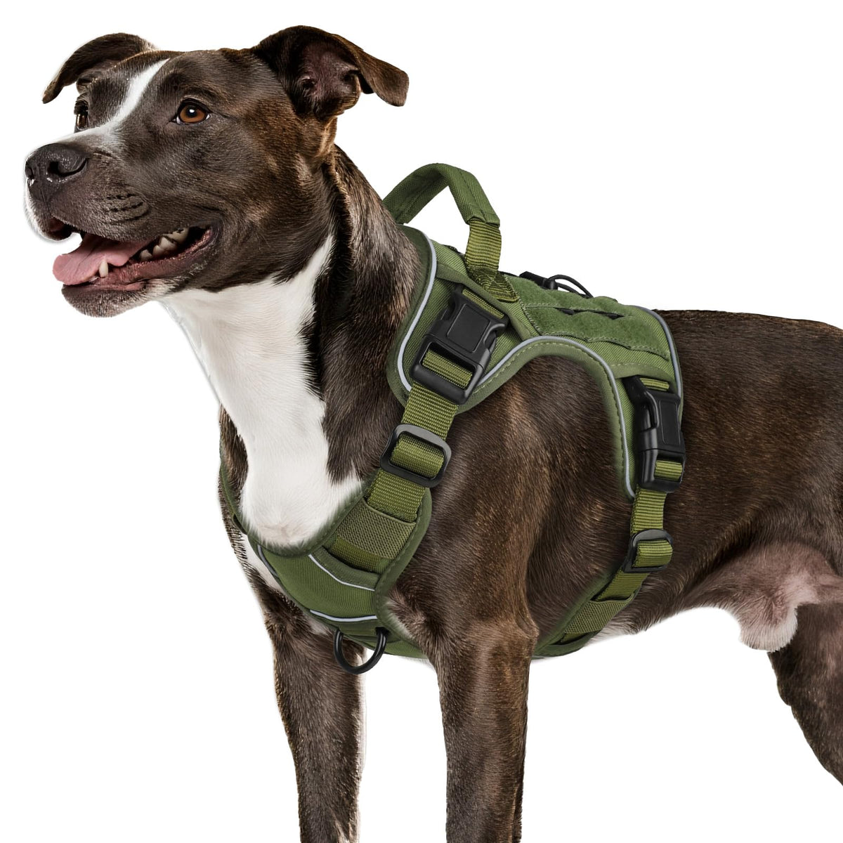 WINGOIN green tactical harness side view shows durable build for outdoor walks.