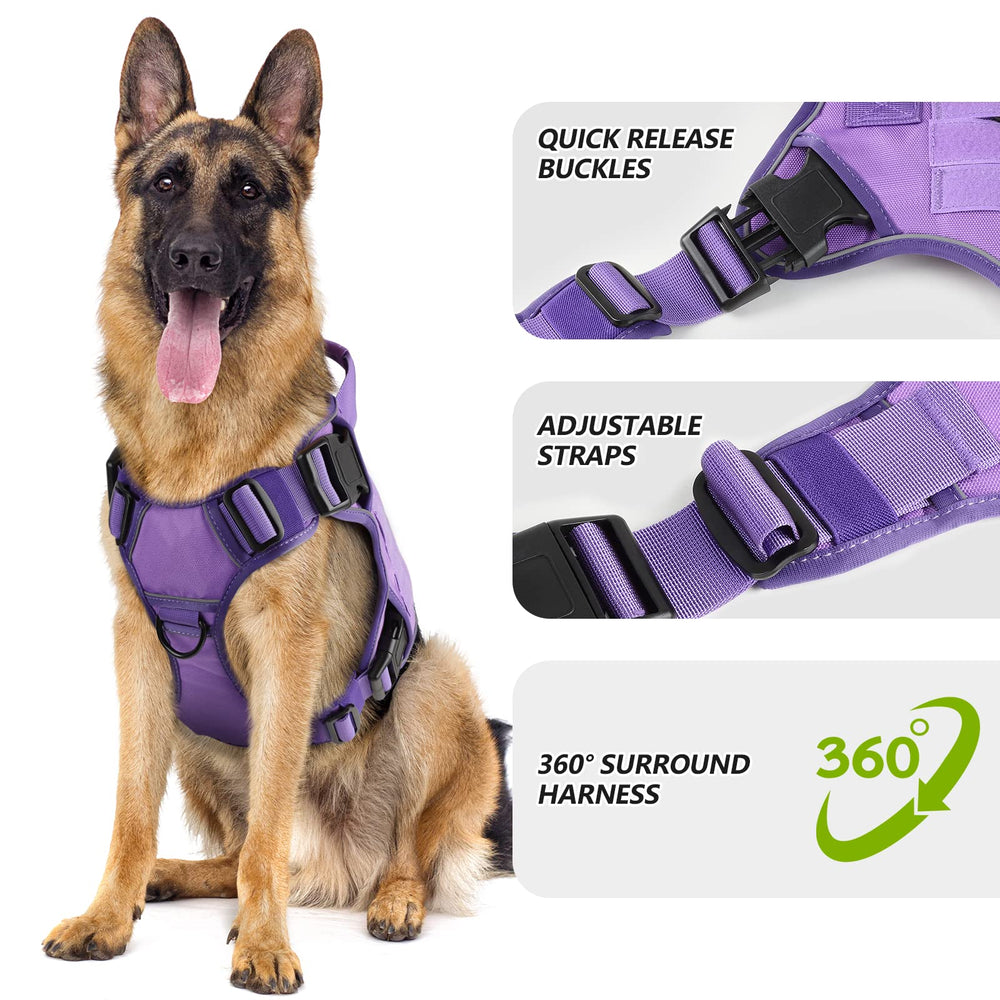 WINGOIN Large No-Pull Harness with Breathable Mesh for all-day comfort