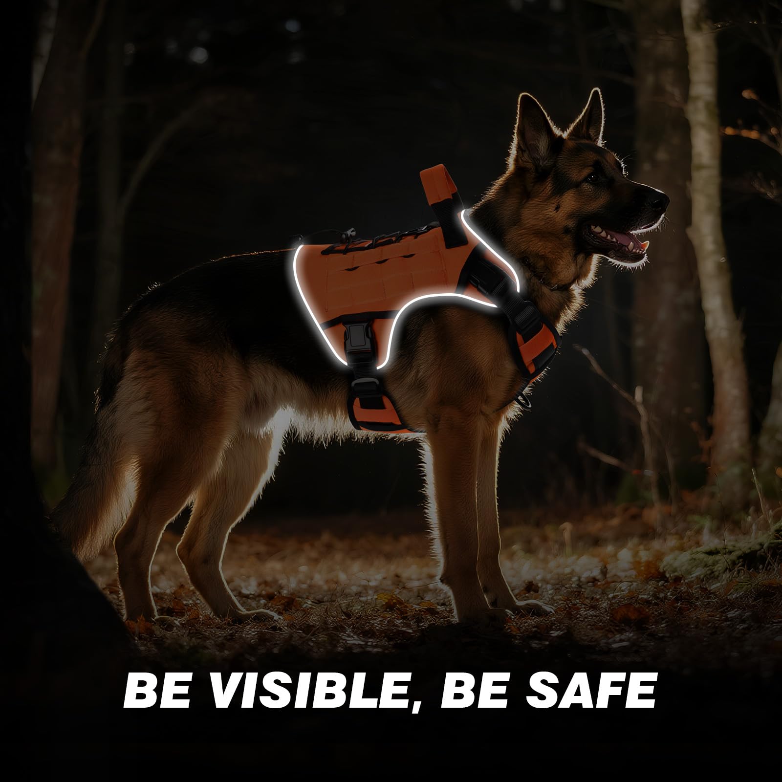 Wingoin orange tactical harness chest-strap fit on large dog for secure comfort.