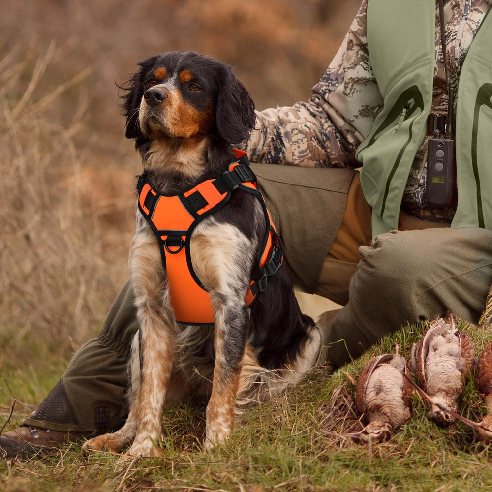 Wingoin orange tactical harness rugged outer layer for outdoor use.