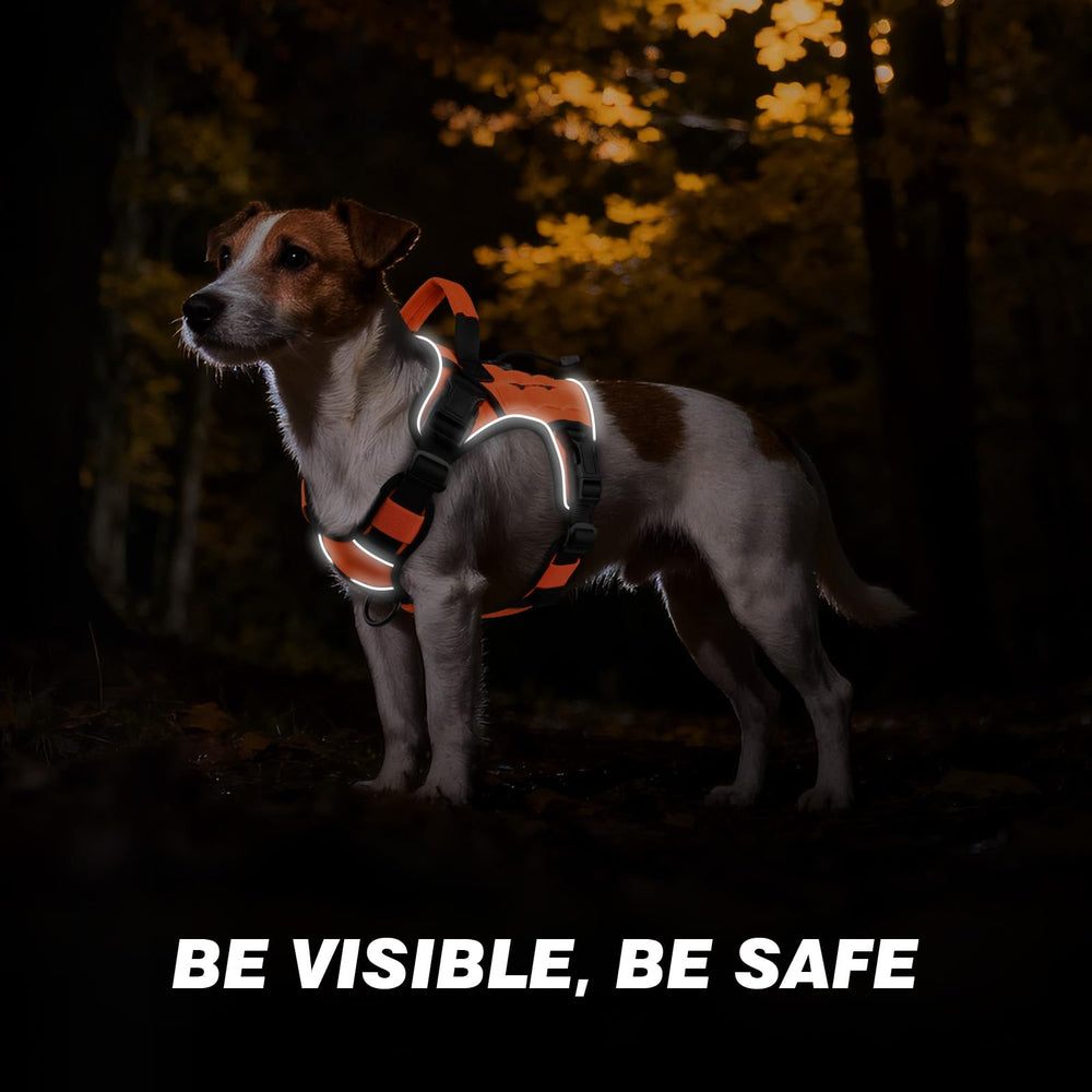 WINGOIN harness handle close-up designed for quick control during training