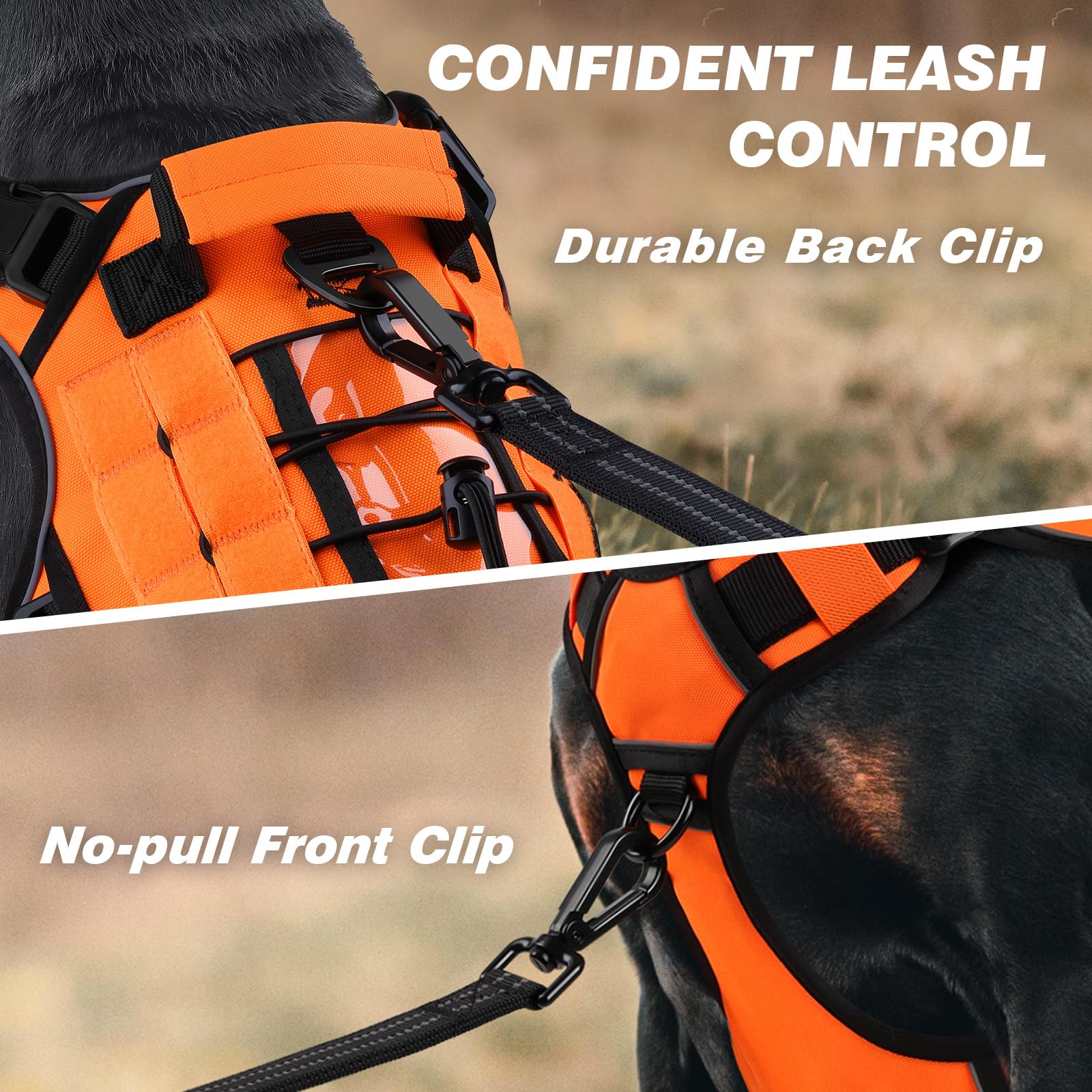 WINGOIN orange harness on a dog during walk with reflective visibility