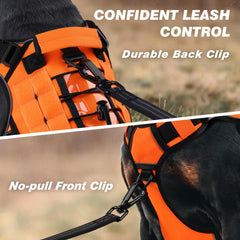 WINGOIN orange harness on a dog during walk with reflective visibility