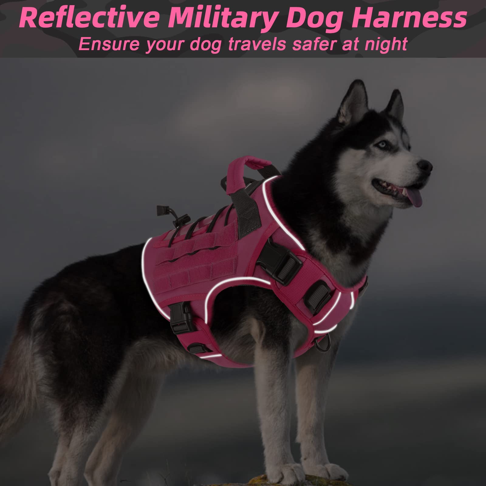 WINGOIN harness handle and D-rings for controlled training.
