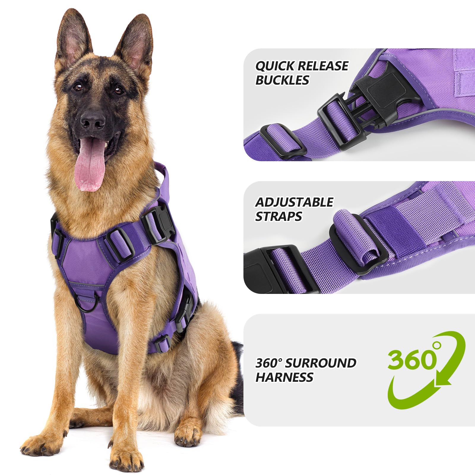 Wingoin purple harness with handle and D-rings for better training and control.